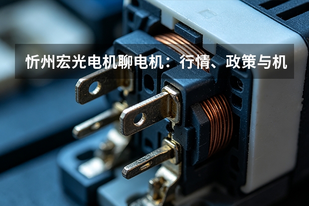 忻州宏光电机聊电机：行情、政策与机会