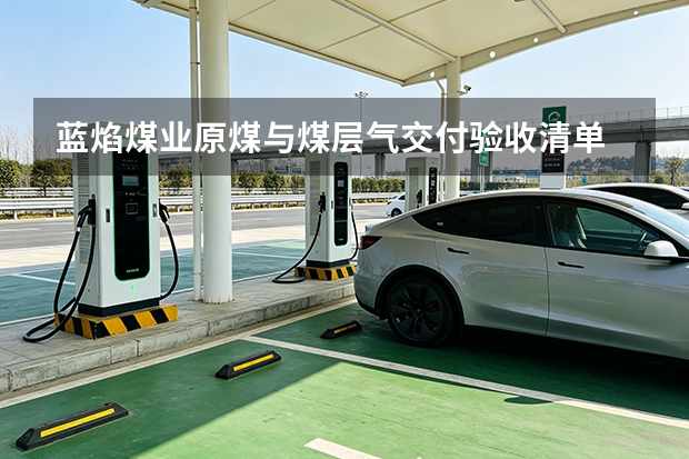 蓝焰煤业原煤与煤层气交付验收清单