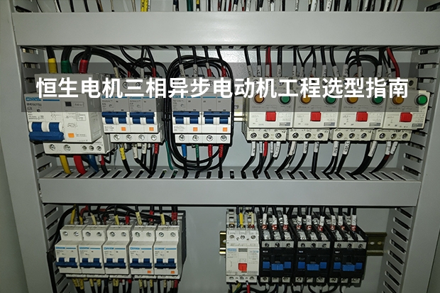 恒生电机三相异步电动机工程选型指南