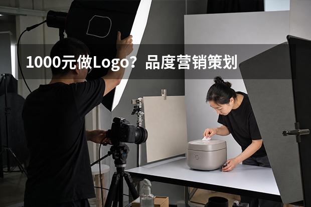 1000元做Logo？品度营销策划推出2026&ldquo;新客计划&rdquo;，把淄博品牌设计第一次合作门槛打下来