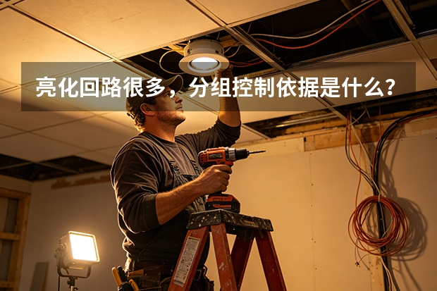 亮化回路很多，分组控制依据是什么？