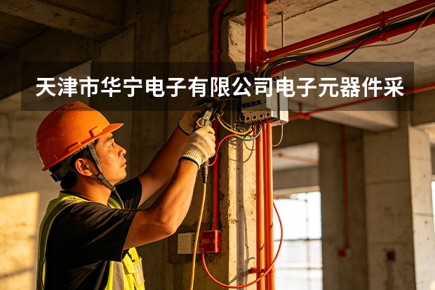 天津市华宁电子有限公司电子元器件采购溯源与供应链安全管理