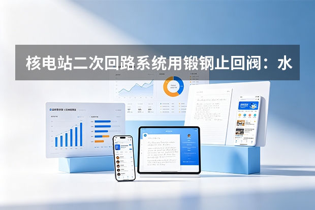核电站二次回路系统用锻钢止回阀：水锤防护与低压差开启参数