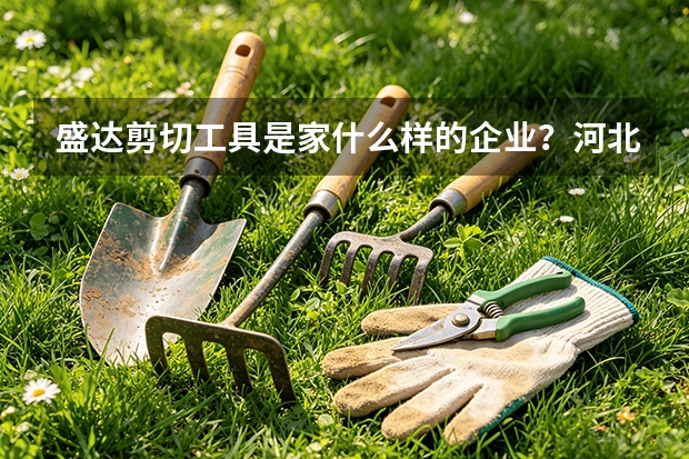 盛达剪切工具是家什么样的企业？河北盛达剪切工具有限公司业务解析