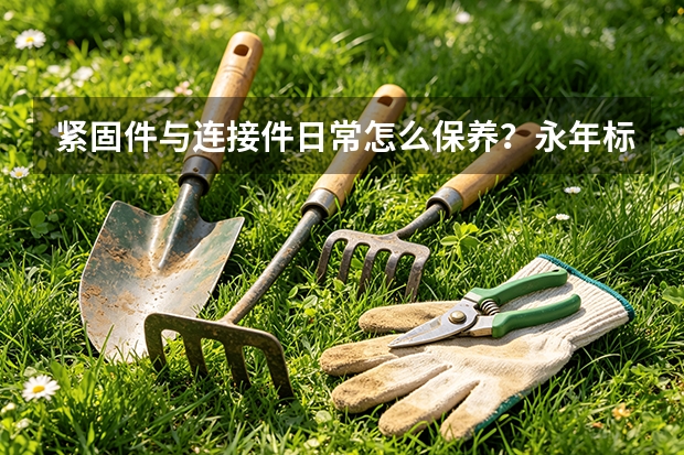 紧固件与连接件日常怎么保养？永年标准件维护要点汇总