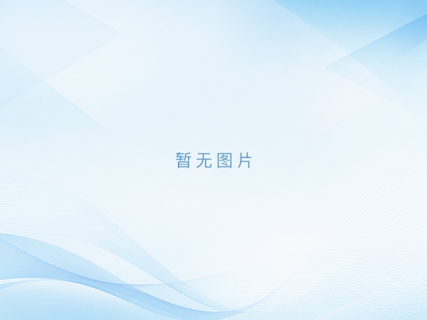 专用连接端子